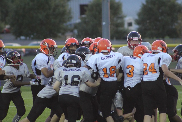 战术灵活性 战术灵活性