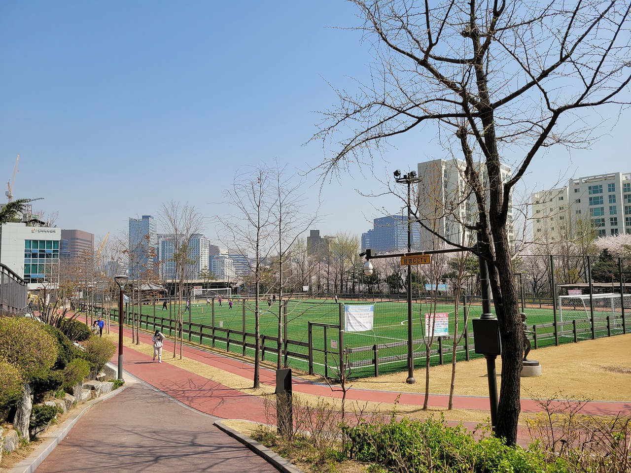 篮的一场比 篮的一场比