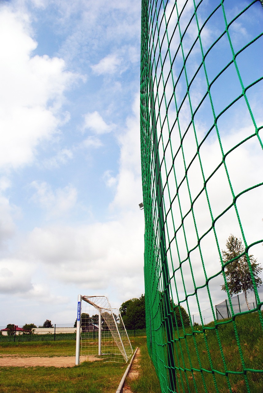 苦训练和坚 苦训练和坚