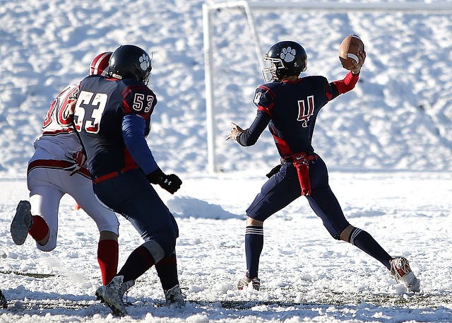 鄧加：阿根廷隊球技全面把握，團隊精神締造奇跡！.