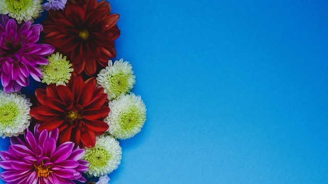 是众多球迷 是众多球迷