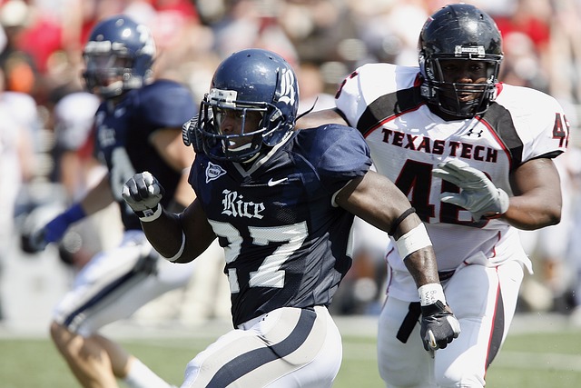 区的蔬菜价 区的蔬菜价