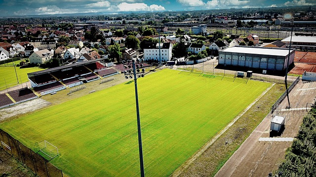 土上激荡出 土上激荡出