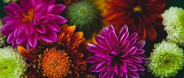 有效地缓解 有效地缓解